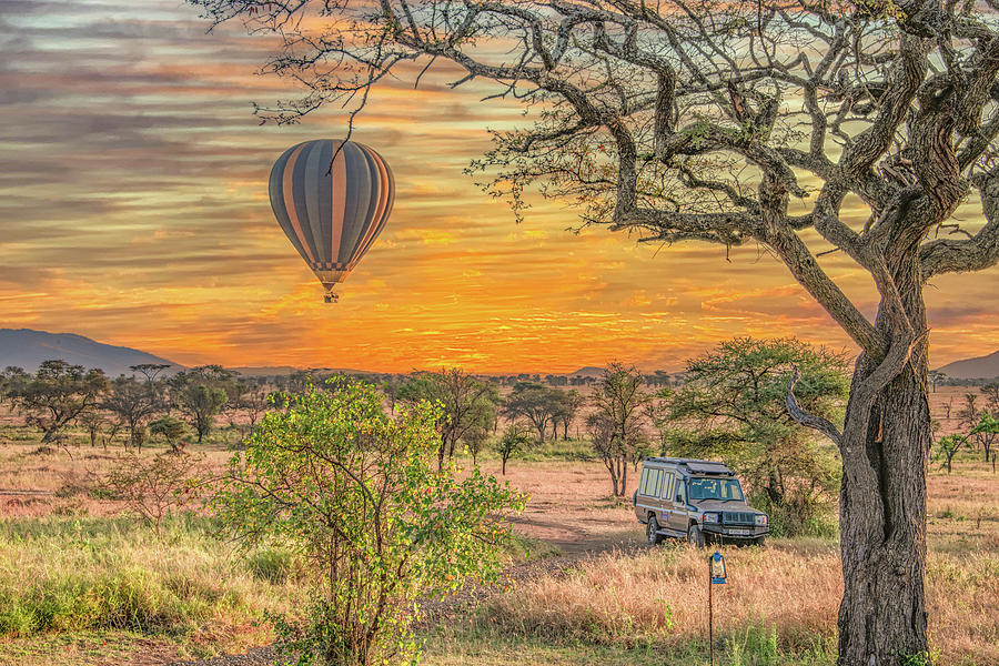 Up, Up, and Away in the Serengeti Photograph by Marcy Wielfaert