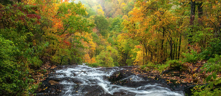 Upper Amicalola Falls in Autumn Photograph by Ginger Stein