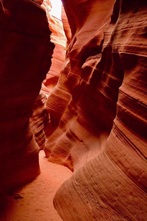 Fins formation-Upper Antelope Photograph by Bnte Creations