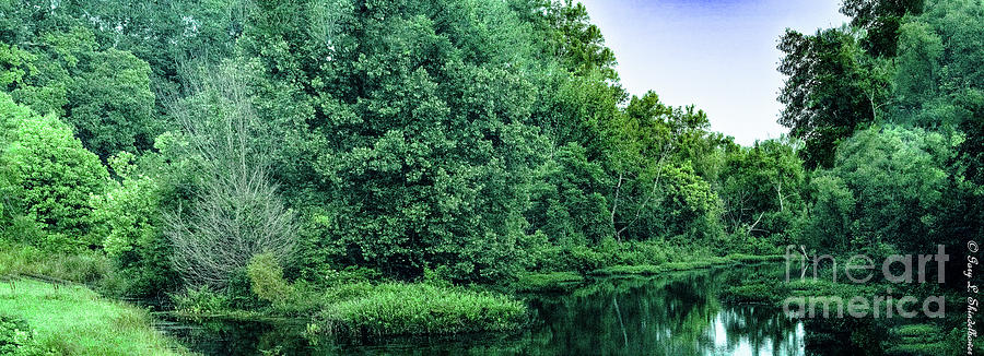 Upper Aragon Mill Pond Georgia Photograph