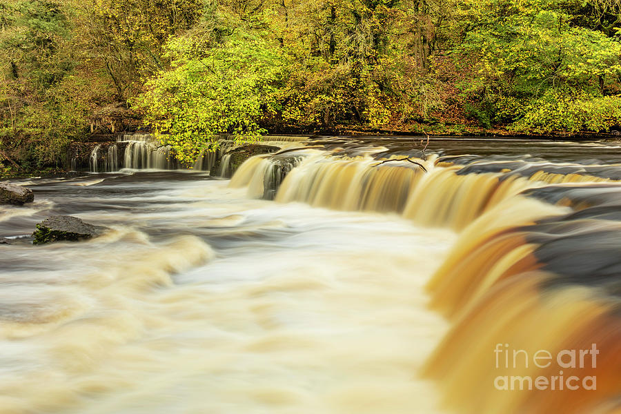 Upper Aysgarth falls on the River Ure, Wensleydale, UK Photograph by Neale And Judith Clark