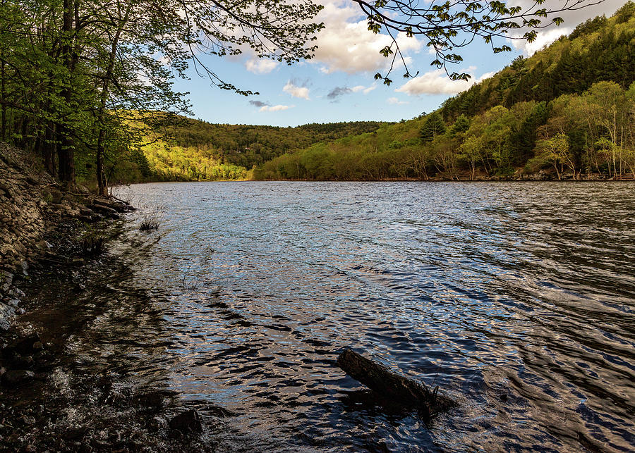  Upper Delaware River Mongaup Photograph by Amelia Pearn