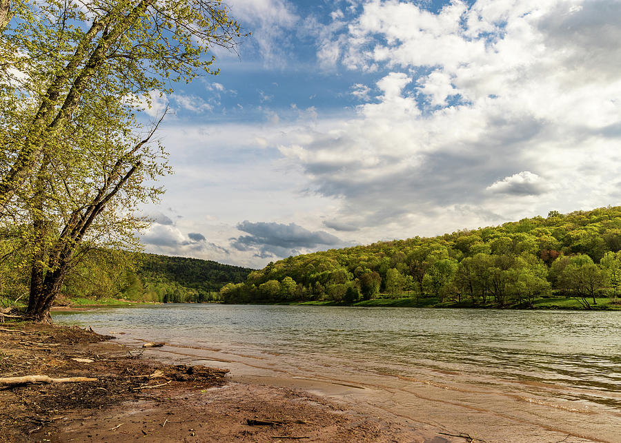 Upper Delaware River - Ten Mile Photograph by Amelia Pearn