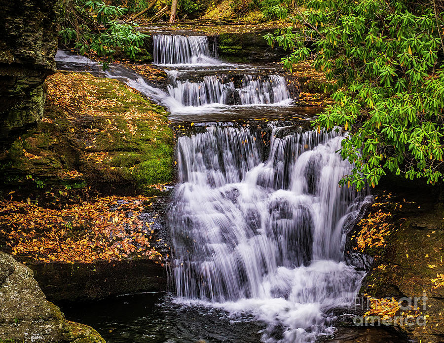 Upper Dingman Falls Photograph by Nick Zelinsky Jr