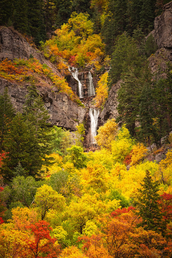 Fall Photograph - Upper Falls Autumn Vertical by Wasatch Light