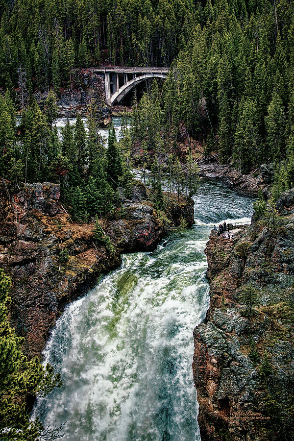 Yellowstone National Park Photograph - Upper Falls Of The Yellowstone River by Mike Braun