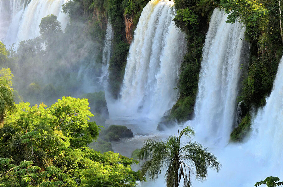 Nature Photograph - Upper Iguazu Falls with Tropical Vegetation in Argentina South America by Sheri Fresonke Harper
