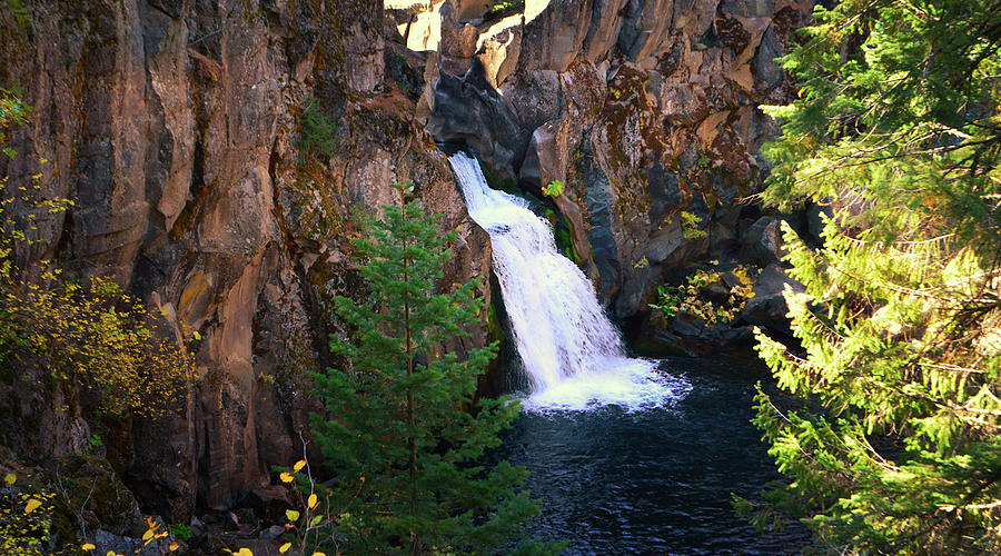 Upper Mccloud Falls, Northern California Photograph