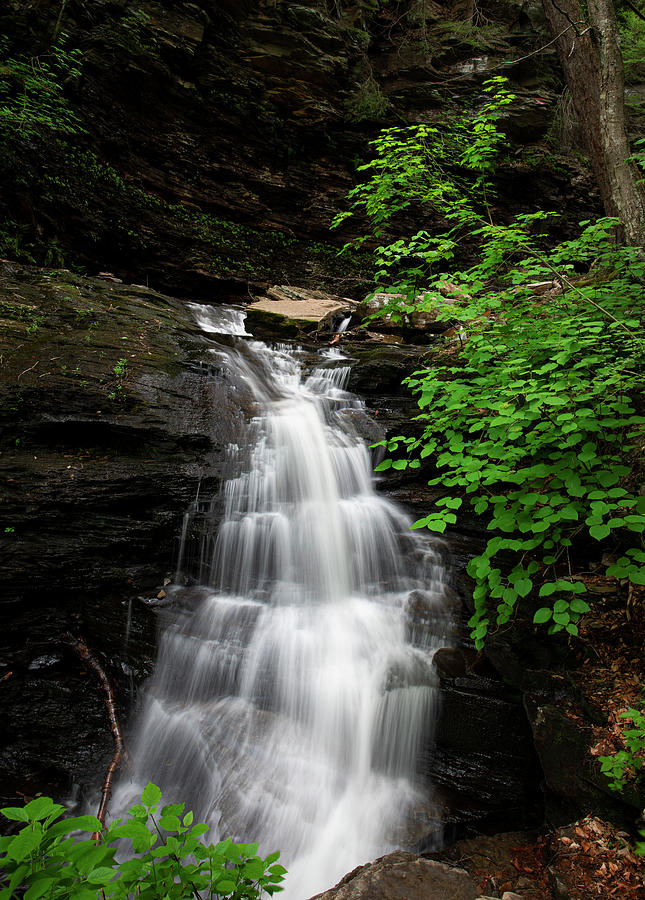 Upper Ozone Falls Ricketts Glen State Park Photograph by Dan Sproul