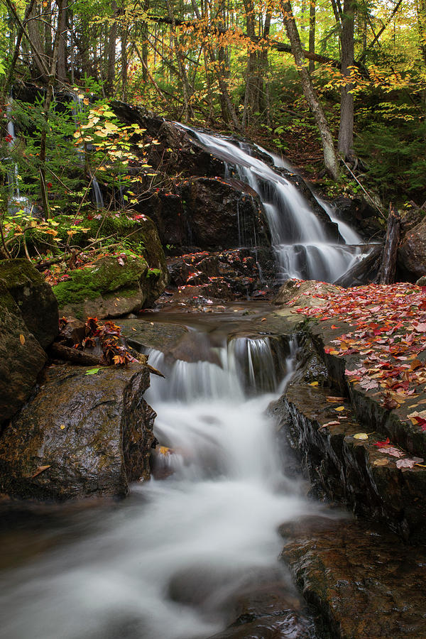 Upper Robichaud Falls Autumn Photograph by White Mountain Images