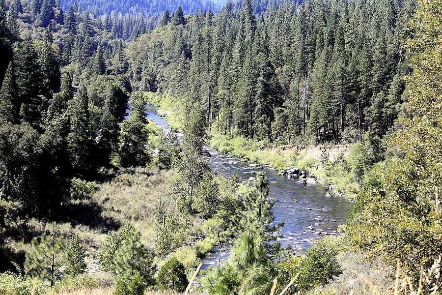 Upper Sacramento River Photograph By Ray Finch - Fine Art America