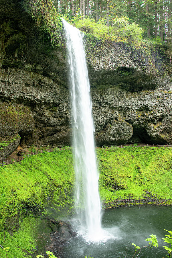 Upper South Falls - Silver Falls State Park Photograph