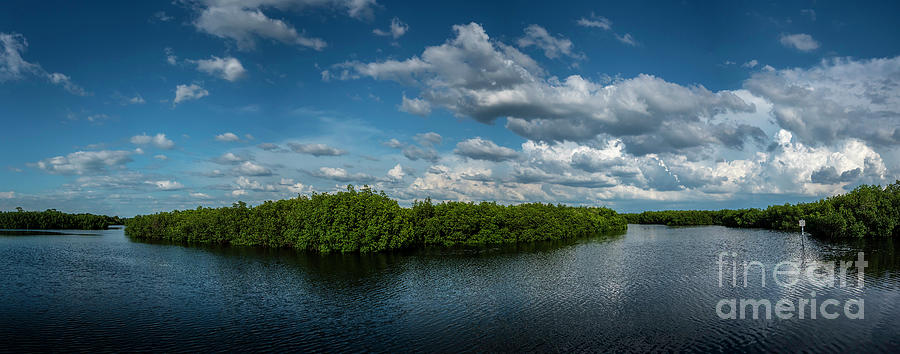 Upper Tampa Bay Park Photograph by Marvin Spates