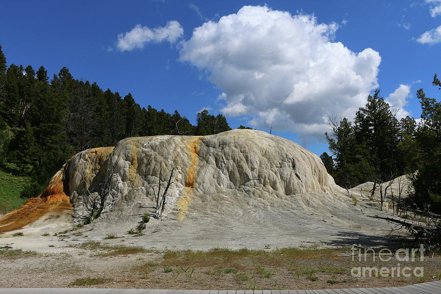 Yellowstone National Park Photograph - Upper Terrace White Elephant Formation by Christiane Schulze Art And Photography