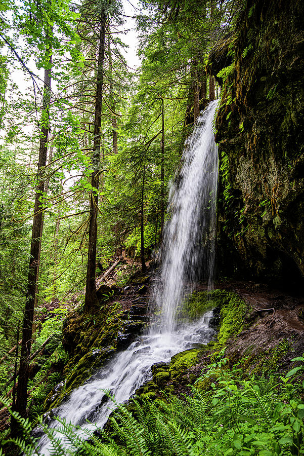 Upper Trestle Creek Falls Photograph by Mike Shaw