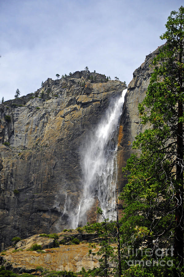 Upper Yosemite Falls Photograph by Cindy Murphy
