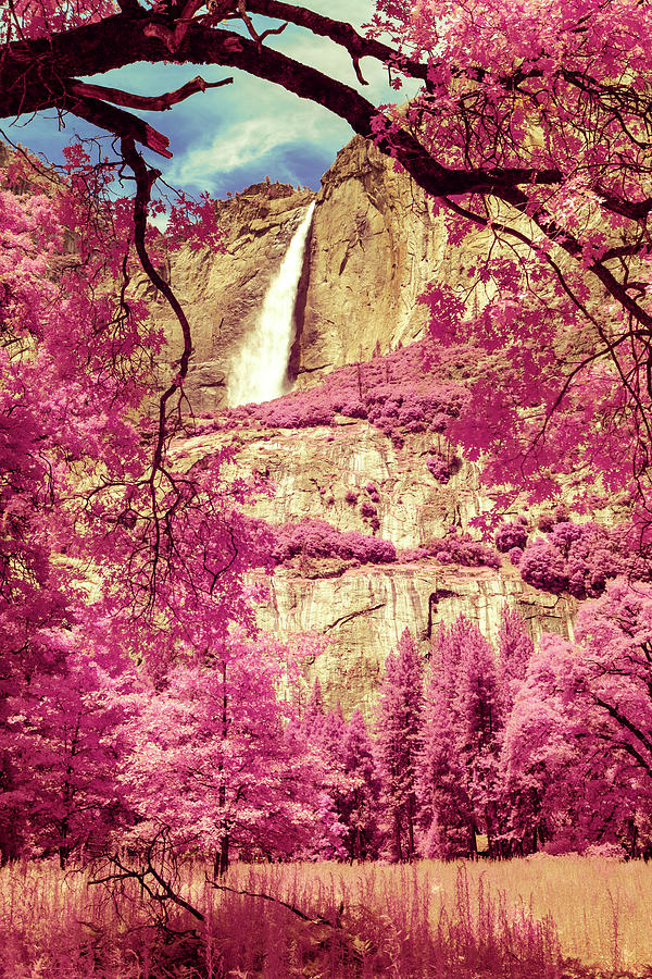 Yosemite National Park Photograph - Upper Yosemite Falls Fantasy by Her Arts Desire