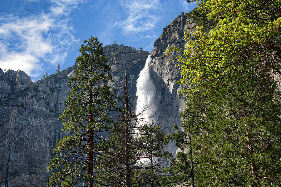 Upper Yosemite Falls Photograph by Robert Blandy Jr
