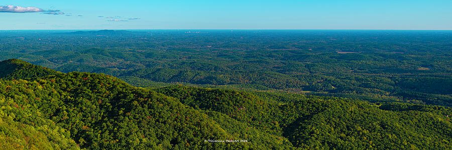 Tree Photograph - Upstate Panorama by Tim Corzine