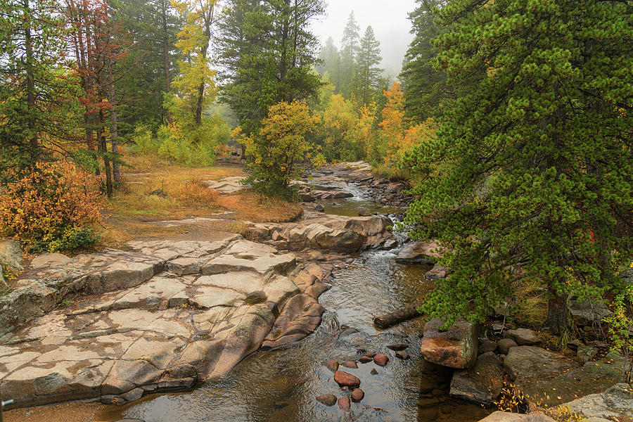 Upstream St Vrain Photograph by James BO Insogna