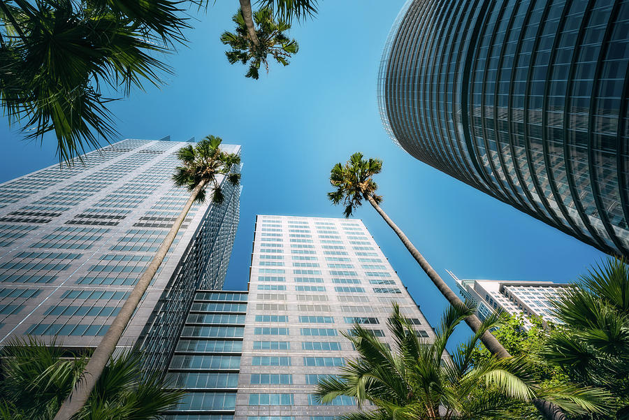 Upwards urban perspective in Sydney City Photograph by Daniela ...