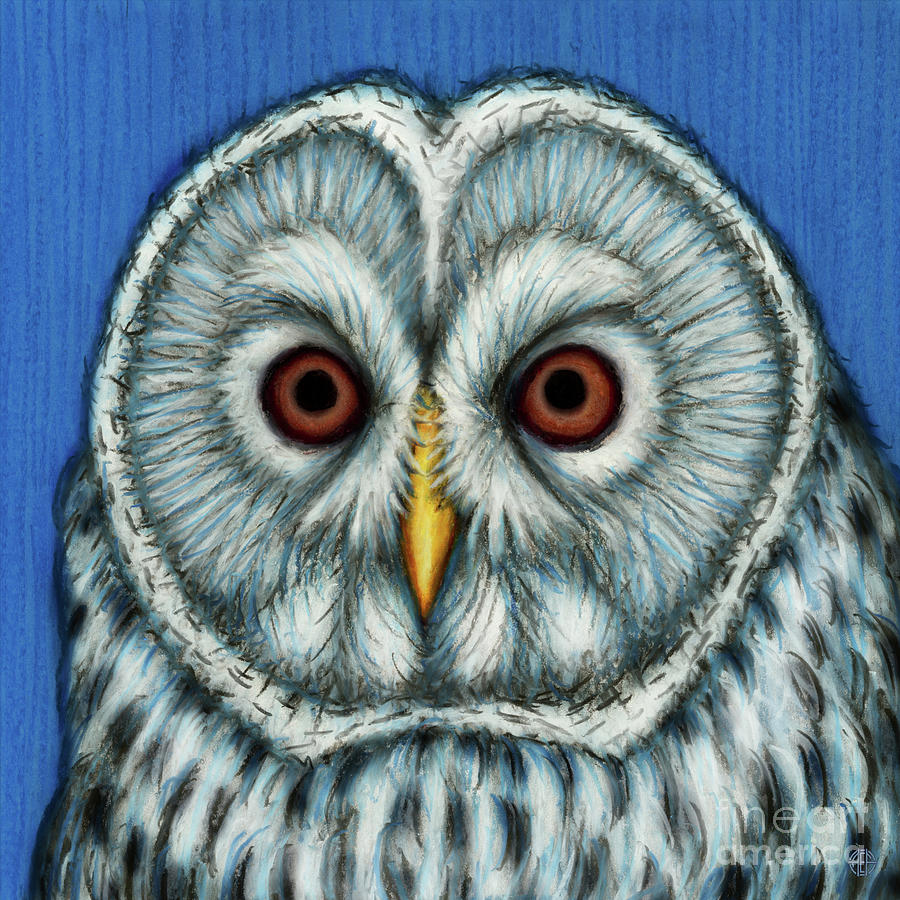 Ural Owl  Painting by Amy E Fraser
