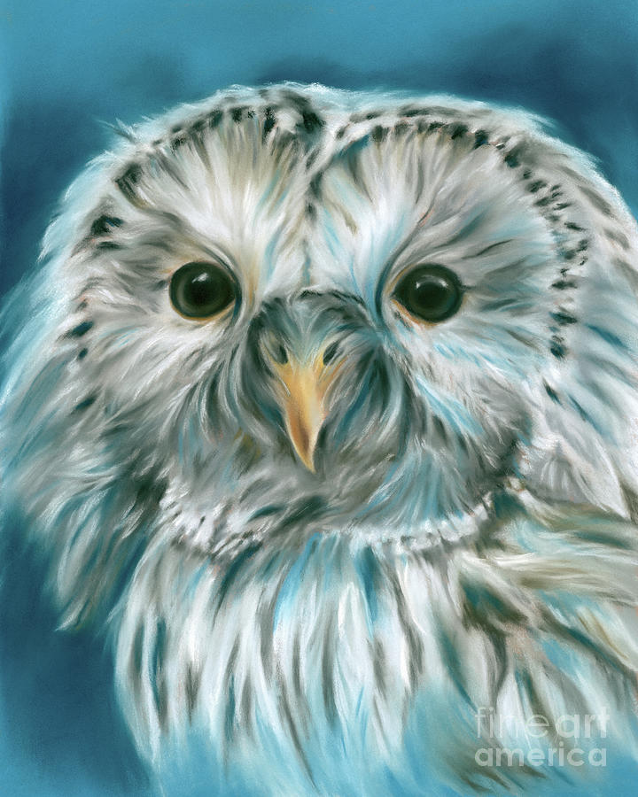 Ural Owl on Blue Painting by MM Anderson