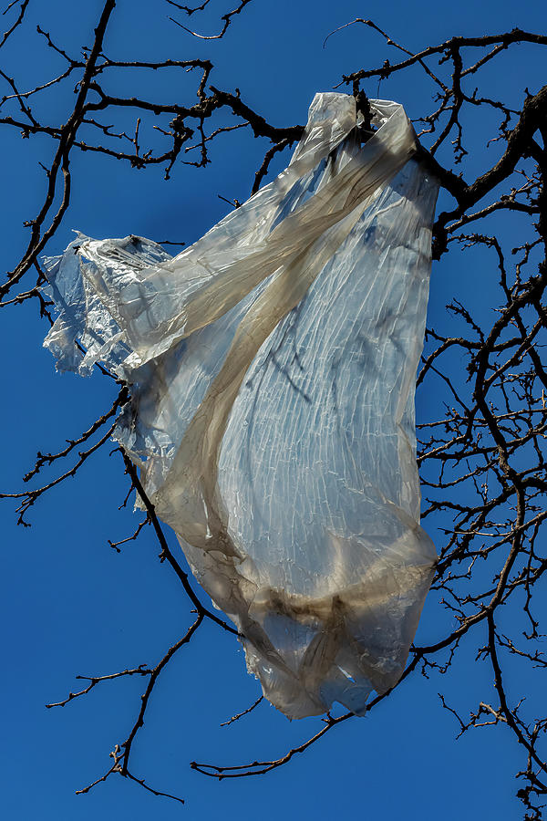 Urban Blight in Flight Photograph by Robert Ullmann - Fine Art America