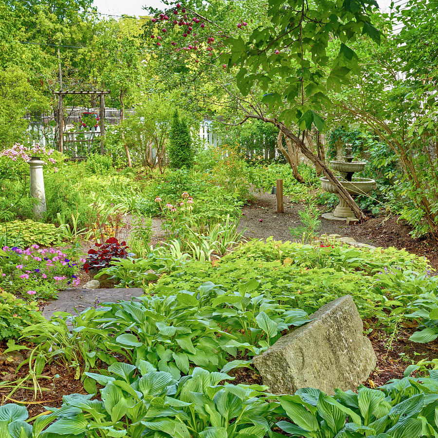 Urban Garden in Perth Ontario Photograph by Frederick Belin - Pixels