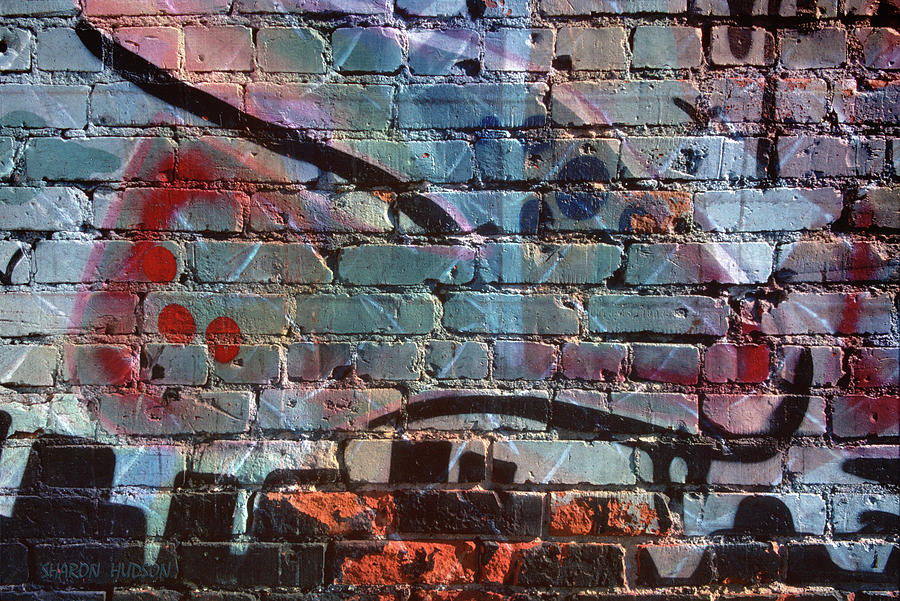 urban graffiti photography - Industrial Evolution Photograph by Sharon Hudson
