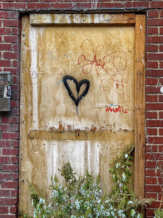 Urban Love Photograph by Cate Franklyn