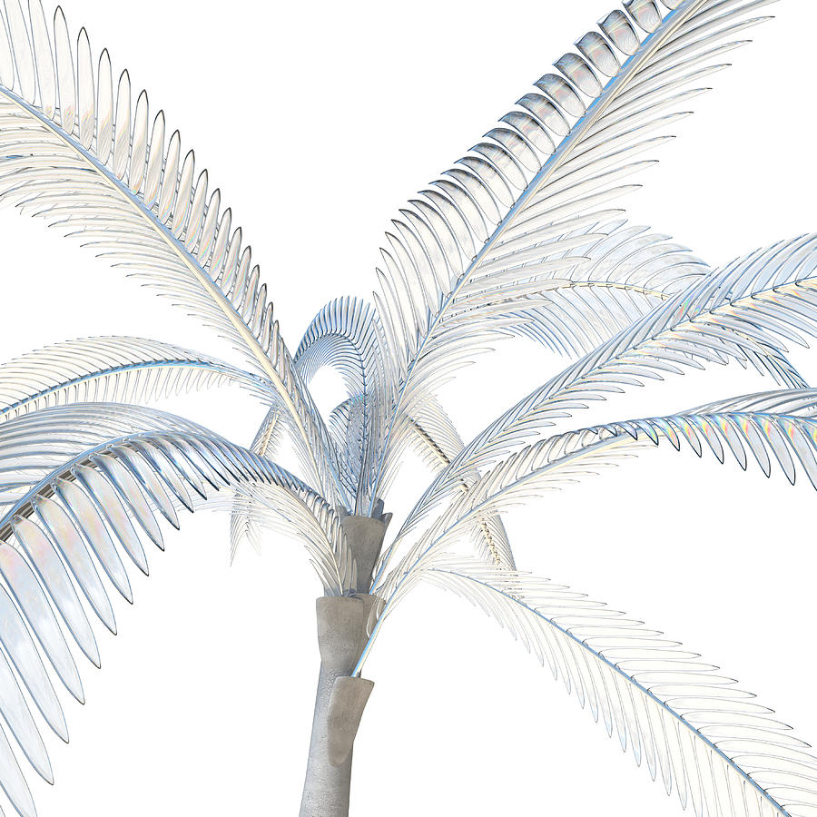 Urban Palm Digital Art by Ted Kessler