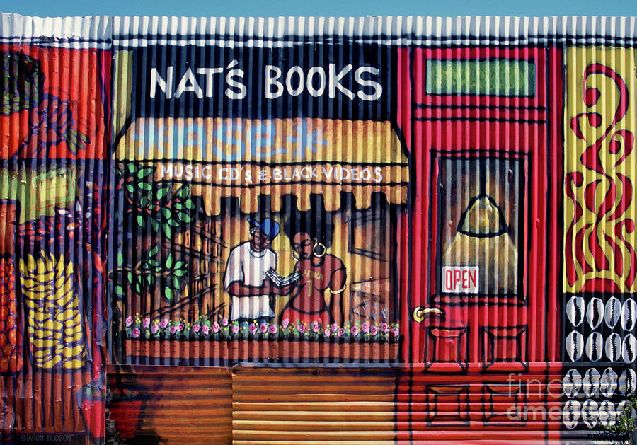 urban photos - Nats Books Photograph by Sharon Hudson
