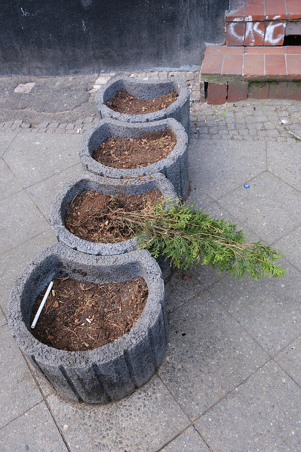 Urban Planter Row in Berlin Kreuzberg Photograph by Matthias Hauser Urban Planter Row in Berlin Kreuzberg Photograph by Matthias Hauser