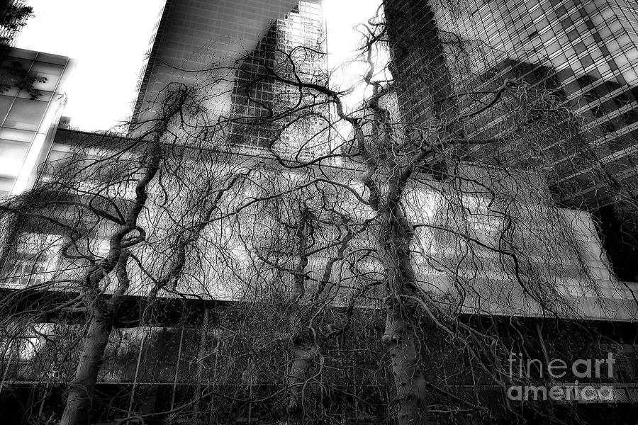 Black And White Photograph - Urban Twist by Lauren Leigh Hunter Fine Art Photography