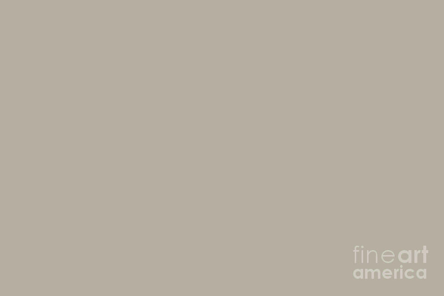 Urban Warm Taupe Solid Color Pairs Behr 2022 Trending Hue Shade   Urban Warm Taupe Solid Color Simply Solids 