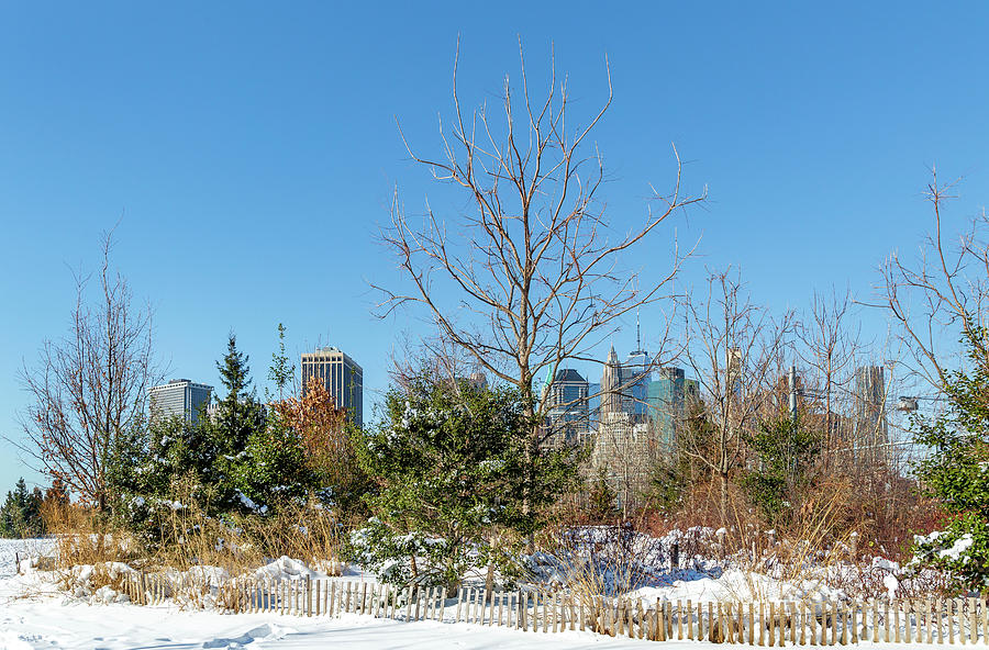 Urban Winterscape Photograph by Cate Franklyn