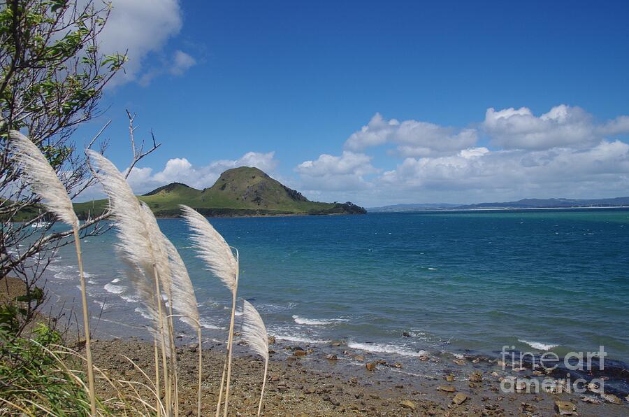 Whangarei Heads Photograph - Urquharts Bay, Whangarei, New Zealand by Lesley Evered