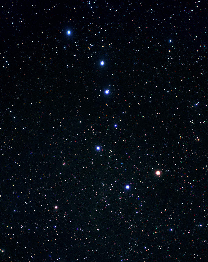 Constellation Photograph - Ursa Major by Ram Vasudev