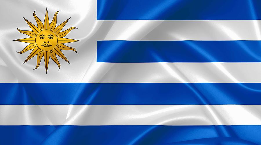 Printable Uruguay Flag - Printable World Holiday