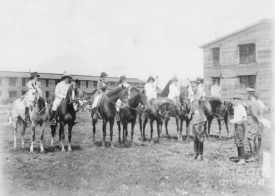 US Army Miltary Horses Photograph by CJ's Art - Fine Art America