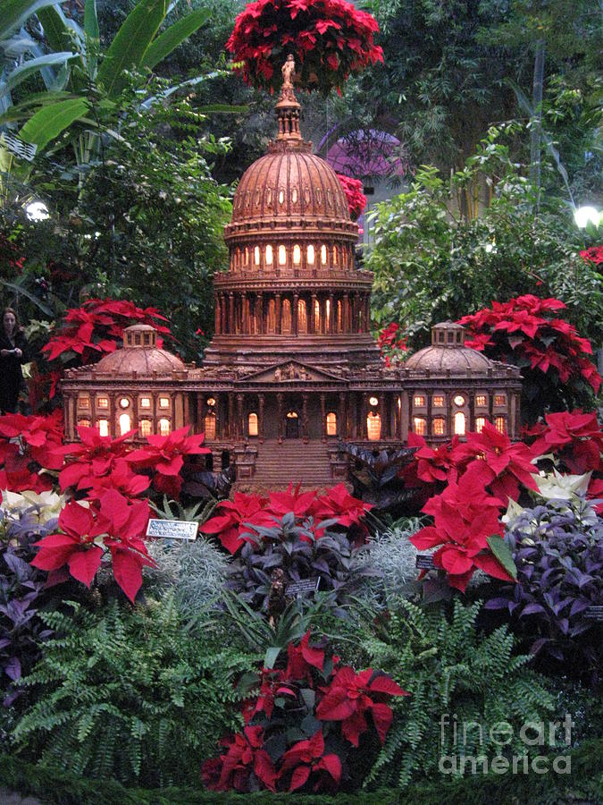 Christmas @ DC USA Botanical Garden Conservatory  Photograph by Catherine Ludwig Donleycott