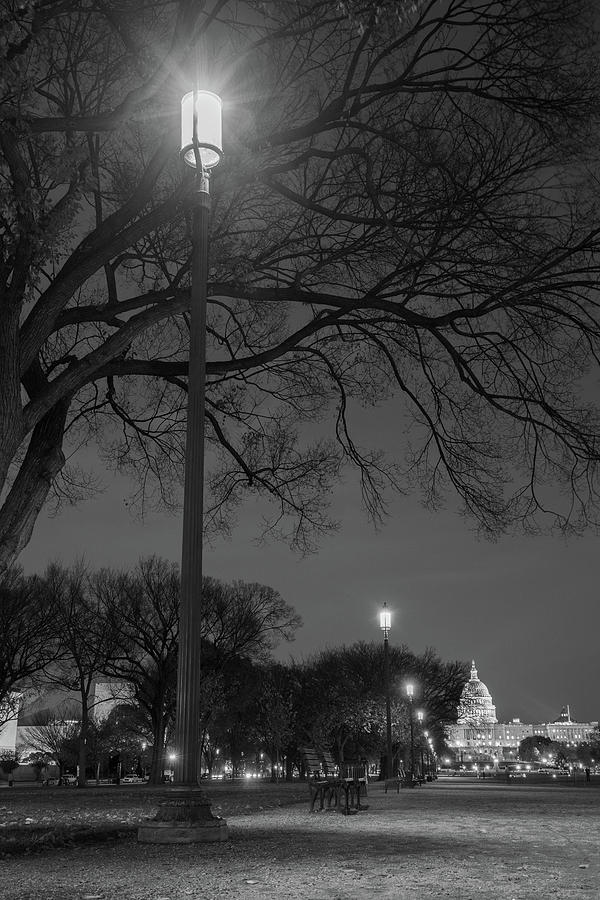 US Capitol and Light on the Mall  Photograph by John McGraw