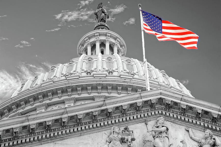 US Capitol Dome and Flag SC Photograph by Eric Glaser
