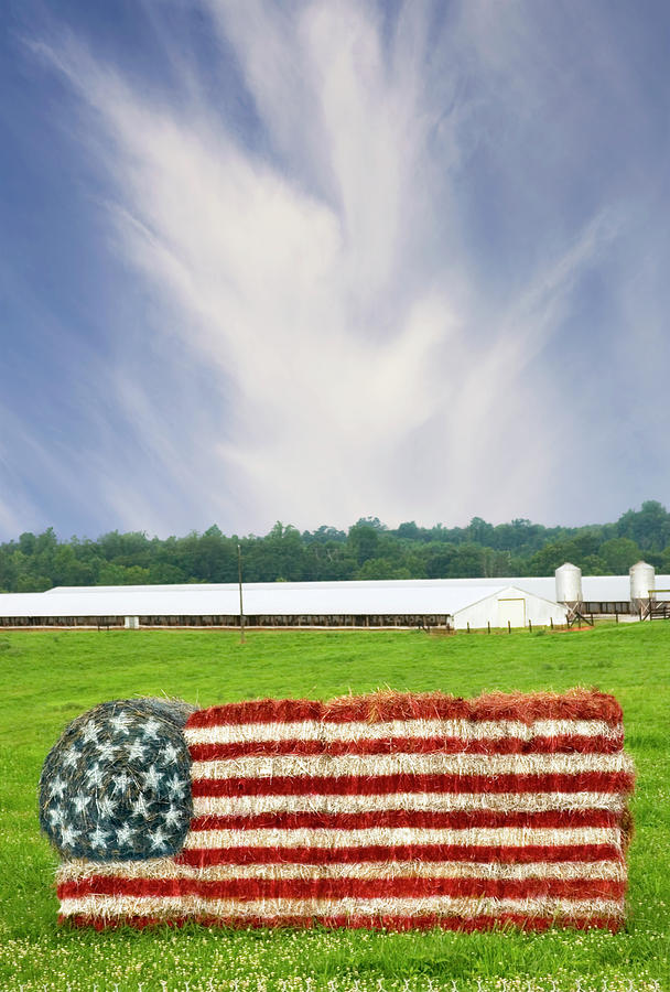 US flag made from hay bales Photograph by Bob Pardue