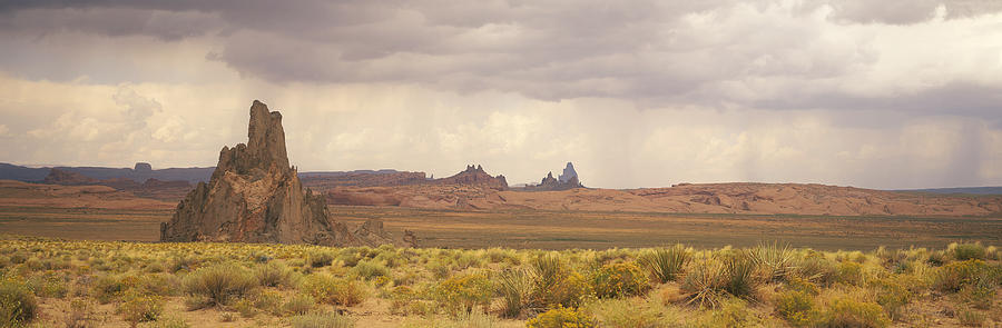 USA, Arizona, Church Rock, near Kayenta, rock formations and wild flowers Photograph by Timothy Hearsum