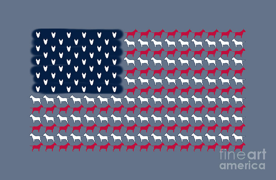 USA Bull Terrier Flag Digital Art by Jindra Noewi