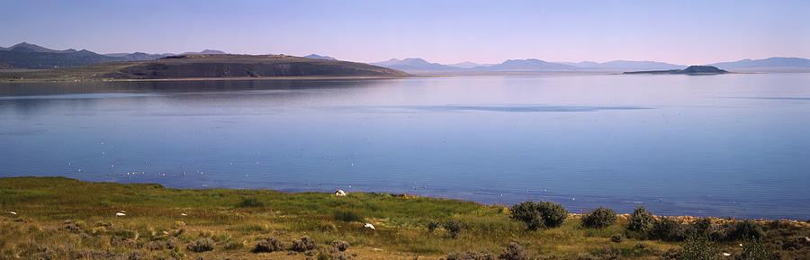 USA, California, Mono Lake, near Lee Vining, lake with grasses and tufa rock Photograph by Timothy Hearsum
