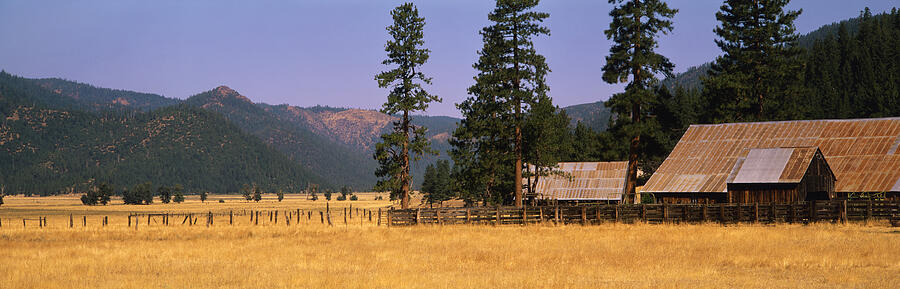 USA, California, near Taylorsville, metal-roofed barns and fences in field, autumn Photograph by Timothy Hearsum