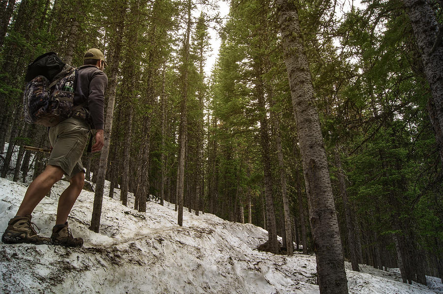 USA, Colorado, Boulder County, Nederland, Man hiking through snowy forest Photograph by TylerPorter